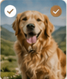 Uploaded pet photo 1